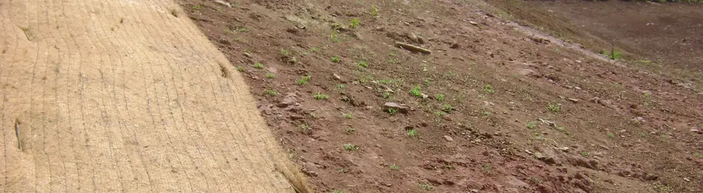 Mantas para control de erosión